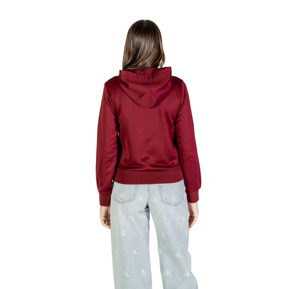 Sweat à capuche en coton Calvin Klein Bordeaux