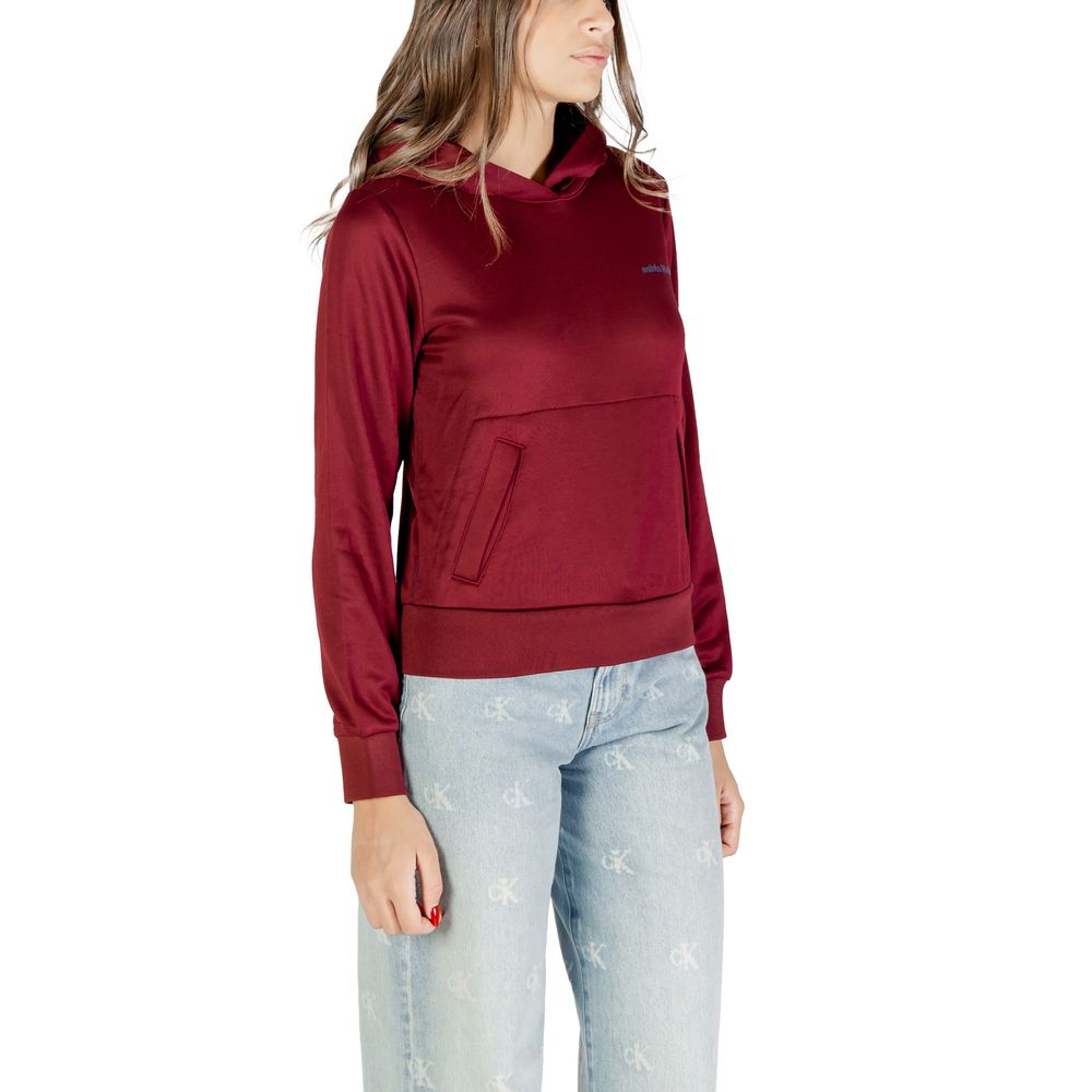 Sweat à capuche en coton Calvin Klein Bordeaux